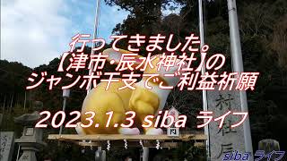 【辰水神社 ご利益祈願の ジャンボ干支(うさぎ)】で、 三重県津市に行ってきました。観光、見頃、ドライブ、2023.1.3 sibaライフ Copen オープン