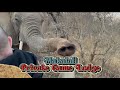 Makalali River Lodge (African Safari)