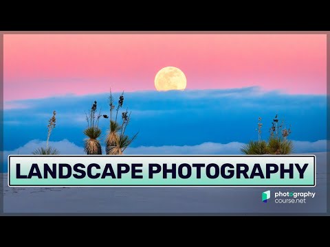 Landscape Photography: The Ultimate Guide With Pro Tips