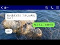 【line】母の末期がんの治療費を自分の貯金で支払った妻に憤慨する夫、「ババアに無駄な金を使うなら離婚だ！」