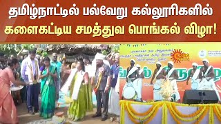 Samathuva Pongal | College Students Pongal Celebration Tamil Nadu | Sun News