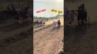 ललक्ष्या वादल VS सोन्या सुंदर   विजय गाडी सोन्या   आणि सुंदर