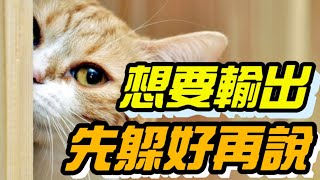 【乘號】×【傳說對決】最強站位！無極限輸出，如何躲好躲滿