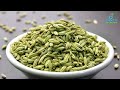 fennel seeds for diabetics