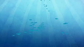 Unity C# Boid Test