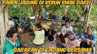 SARAPAN PAGI DI KEBUN BERSAMA❗️LANJUT PANEN JAGUNG