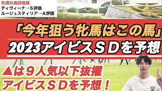 【2023アイビスサマーダッシュ予想】「今年狙う牝馬はこの馬」 ▲は９人気以下の穴馬を抜擢！