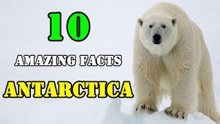 Top 10 Amazing facts about Antarctica !!