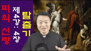 탈출기/ 제4강/ 4장/ 모세의 소명: 피의 신랑 되기/ 전삼용 요셉 신부