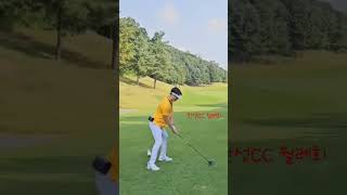 월례회, 이젠 해가 금방 진다 #golf #골프티샷 #golfswing #golfer #골프스윙 #타이틀리스트 #tsi2 #드라이버스윙