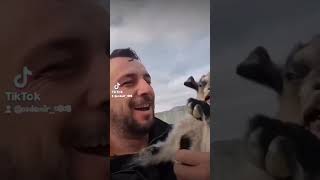 😆funny goats #funnyvideos #funnygoat #funny  #farm #cute #crazygoat #babygoat #goat #goats