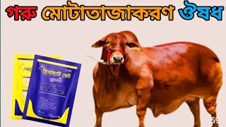 গরু মোটাতাজাকরণ ঔষধ ।@memesbycowbelly