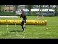 neoficiální závody agility blansko 27.4.2014 jumping 3. místo