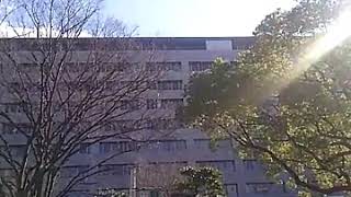 福岡市博多区県庁前交差点に残るメロディー信号機(故郷の空)