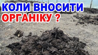 СЕКРЕТИ внесення перегною для максимального урожаю !