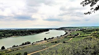 Wandern am Rhein - auf den Rheinterrassen von Mz-Laubenheim nach Oppenheim(2018, 4k)