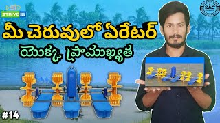 Aerator important in aquaculture||shrimp farming||#vannamei_culture_process||Sai Aqua Care