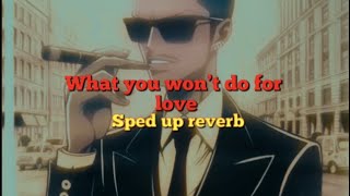 What you won't do for love | sped up reverb | lyrics