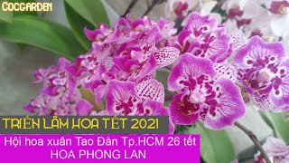 Hội hoa xuân Tao Đàn TP.HCM 2021 - Phong lan 26 ÂL