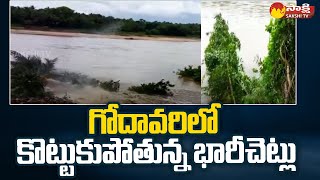 Trees Washed away in Godavari | Ambedkar Konaseema District | Ainavilli | Sakshi TV