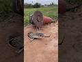 DIY Snake Trap using cutting tool #creativesnaketrap #snakeinhole