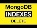 18 MongoDB Indexing - Indexes deletion