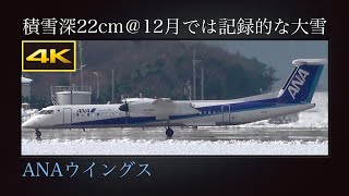 4K 積雪深22cm、12月では記録的な大雪となった新潟空港に飛来する  Bombardier DHC-8-402Q Dash 8 : ANAウイングス  JA851A  2022年12月21日(水)