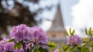 Hervormde Kerk Oene | Morgendienst  23 februari 2025, 9:30 | Live Kerkdienst