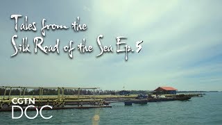 Tales from the Silk Road of the Sea Ep.5: The Heritage