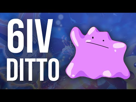 How to Get a Perfect 6IV Ditto in Pokemon ORAS and XY How to Get a Perfect 6IV Ditto in Pokemon ORAS and XY