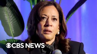 Democratic, Republican strategists react to DNC autopsy report of 2024 election