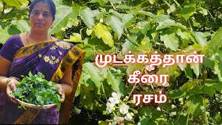 நரம்பு வலியையும் போக்கும் முடக்கத்தான் கீரை ரசம்/ Mudakathan keerai rasam/#mudakathankeerairasam