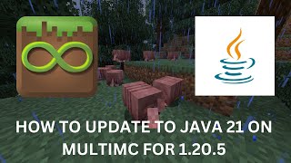 How to Update to Java 21 on MultiMC to play version 1.20.5-1.20.6+