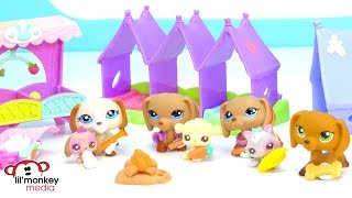 🐶  LPS Weekend Camping at the FunPark!  Littlest Pet Shop Camping Weekend!