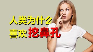 人类为什么会不自觉地挖鼻孔？Why do humans pick their nostrils unconsciously?