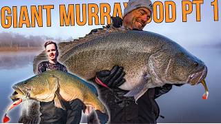 Murray Cod Fishing, One of the best sessions ever Part 1