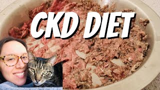 Yes CKD cats can eat raw! (complete options and easy recipes)