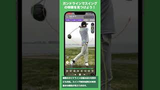 ガイドラインの機能紹介 「プロ監修-AI ゴルフスイング動画撮影・解析・比較・診断アプリ GolfVision ゴルフビジョン」