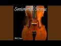 Sentimental Strings