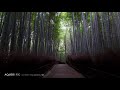 8k わたしは、奥行ある景色 が好き