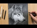 Charcoal Drawing of a Wolf