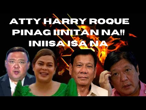 OPERATION ALIS TINIK VP SARAH ATTY HARRY ROQUE AT DUTERTE TINIK SA LALAMUNAN NG MGA MARCOS