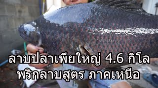 ลาบปลาเพี้ยตัวใหญ่ 4.6 กิโล