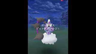 【ポケモンGO】初めて、ボルトロス(けしんフォルム)の捕獲に挑戦！