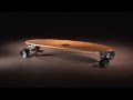 Arbor Skateboards :: 2014 Product Profiles - Zeppelin