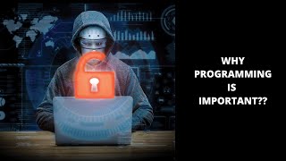 Why Programming Is Important? | Tech Leads