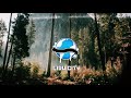 Telomic - Limited