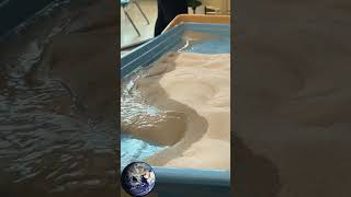 Geoscience Lab: Stream Table Demonstration #science