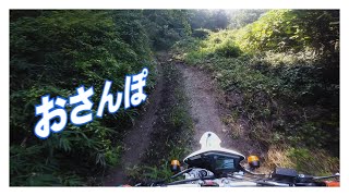 Ravlog#38 近所に林道散策おさんぽ [motovlog]