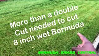 Bermuda Gr Central Videos By Bermuda Gr Central Cutting Wet